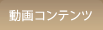 動画コンテンツ